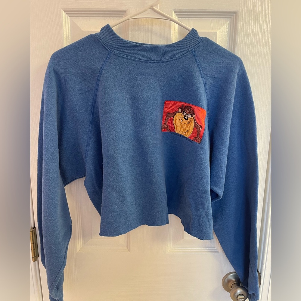 Vintage 90s Warner Bros Looney Tunes Taz Cropped Crewneck Sweatshirt -Size Large